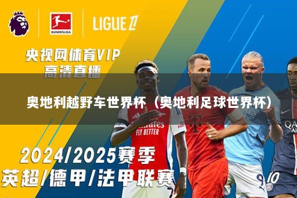 奥地利越野车世界杯（奥地利足球世界杯）