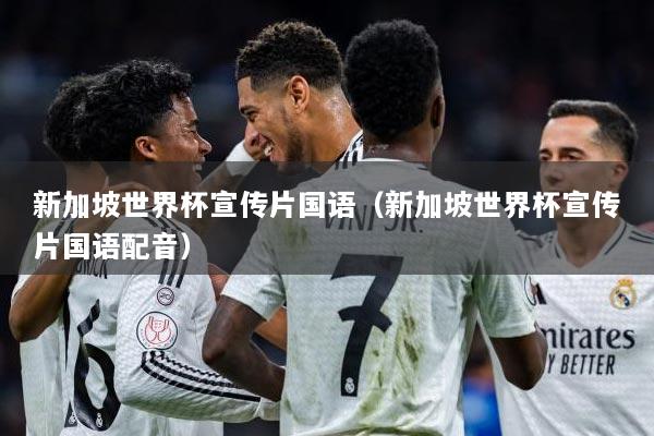 新加坡世界杯宣传片国语（新加坡世界杯宣传片国语配音）