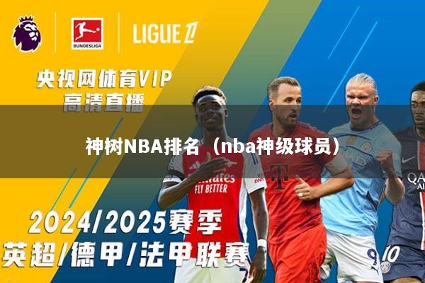 神树NBA排名（nba神级球员）