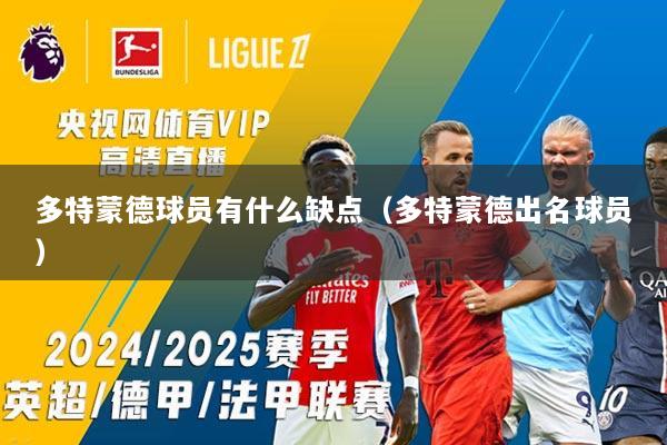 多特蒙德球员有什么缺点（多特蒙德出名球员）