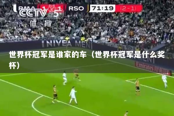 世界杯冠军是谁家的车（世界杯冠军是什么奖杯）