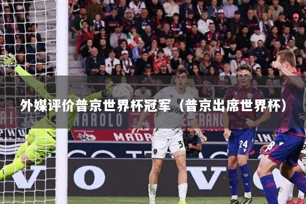 外媒评价普京世界杯冠军（普京出席世界杯）